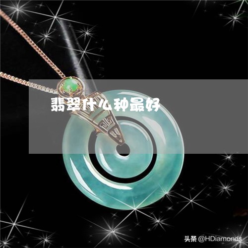 翡翠什么种最好/2023032801594