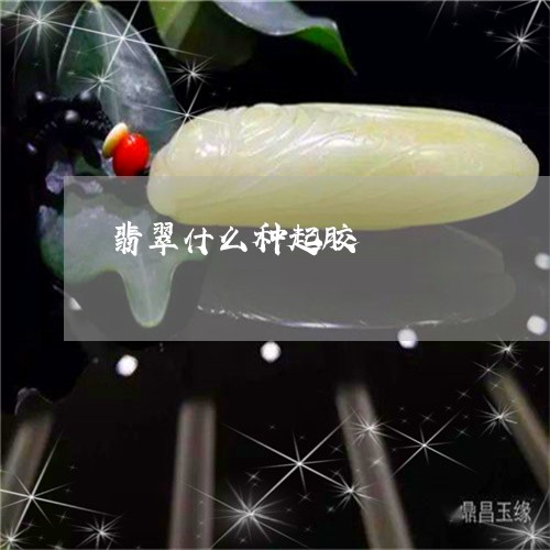 翡翠什么种起胶/2023032812613