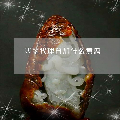 翡翠代理自加什么意思/2023061533682