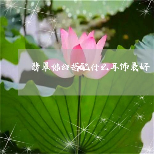 翡翠佛公搭配什么耳饰最好/2023061968271