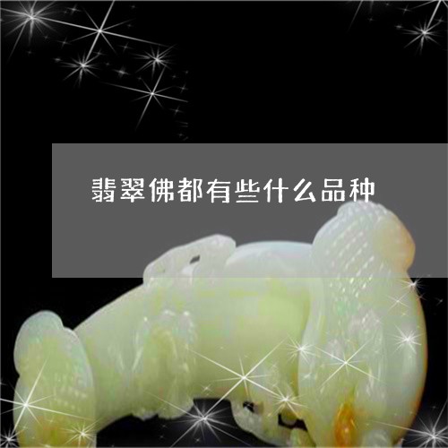 翡翠佛都有些什么品种/2023020959484