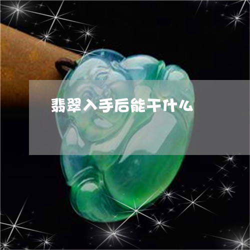 翡翠入手后能干什么/2023041168704 翡翠入手后能干什么/2023041168704