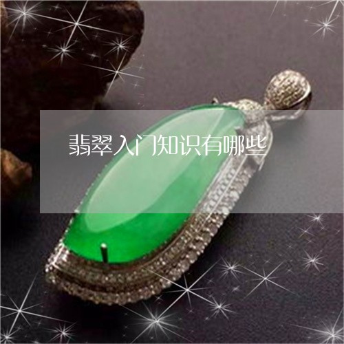 翡翠入门知识有哪些/2023041126159