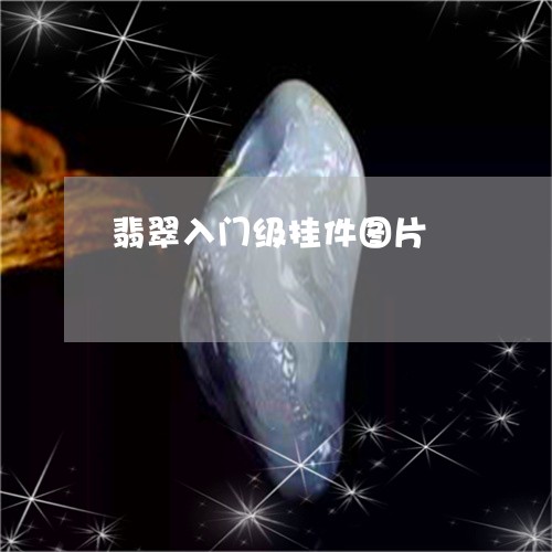 翡翠入门级挂件图片/2023041135038