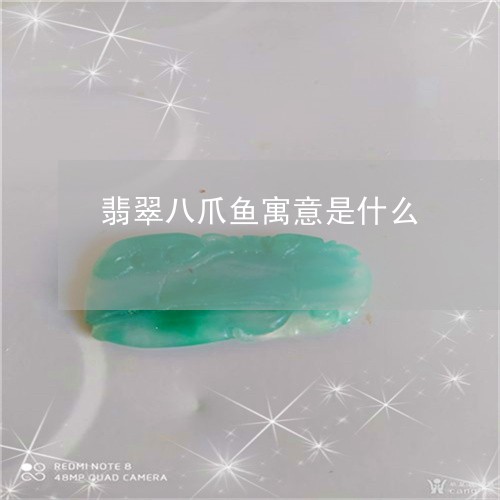 翡翠八爪鱼寓意是什么 翡翠八爪鱼寓意是什么