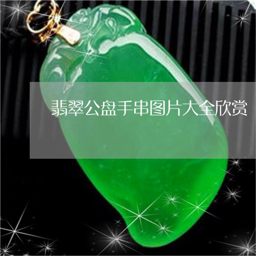 翡翠公盘手串图片大全欣赏/2023061974847