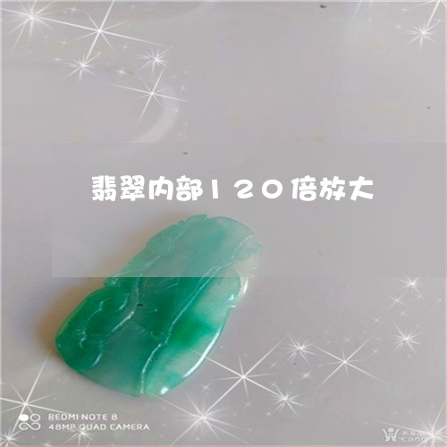 翡翠内部120倍放大