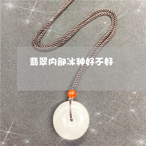翡翠内部冰种好不好/2023041198302