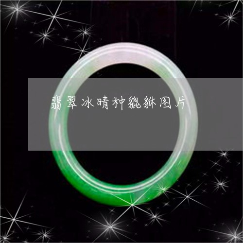 翡翠冰晴种貔貅图片/2023041168170