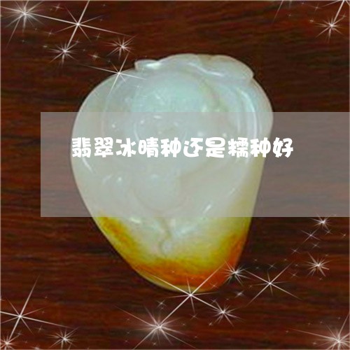 翡翠冰晴种还是糯种好
