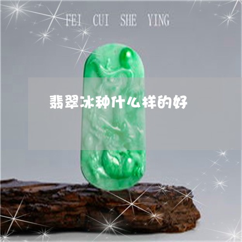 翡翠冰种什么样的好/2023041177168 翡翠冰种什么样的好/2023041177168