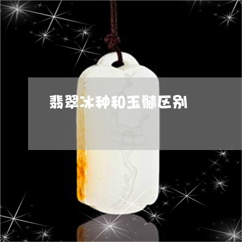 翡翠冰种和玉髓区别/2023041180704
