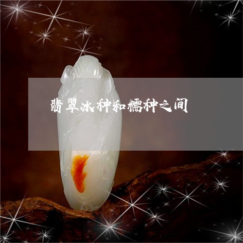 翡翠冰种和糯种之间/2023041171615 翡翠冰种和糯种之间/2023041171615