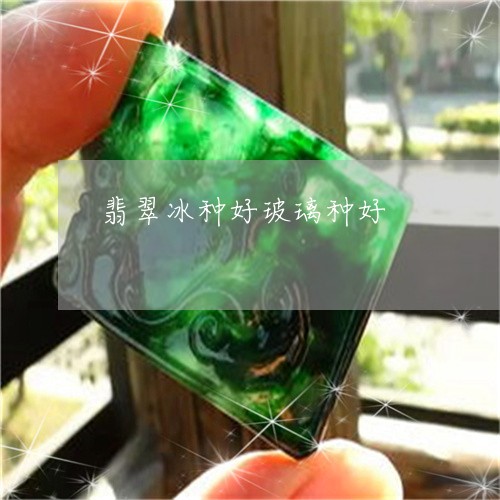 翡翠冰种好玻璃种好/2023041195169 翡翠冰种好玻璃种好/2023041195169