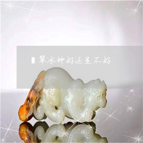 翡翠冰种好还是不好/2023041113926 翡翠冰种好还是不好/2023041113926