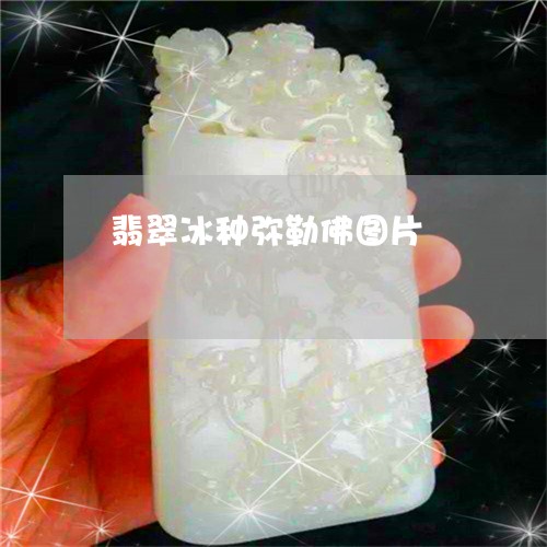 翡翠冰种弥勒佛图片/2023041136068