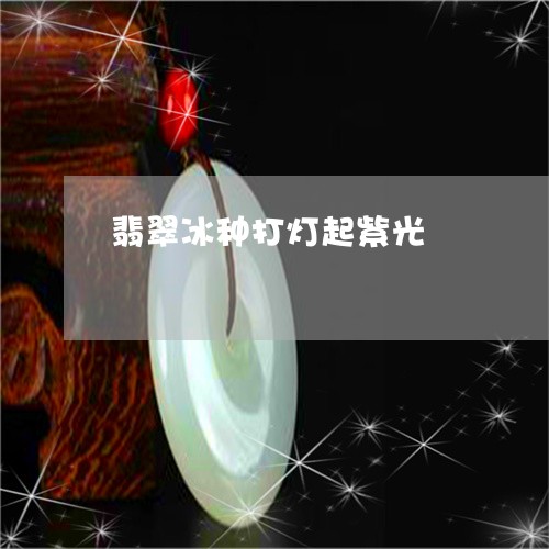 翡翠冰种打灯起紫光/2023041106351