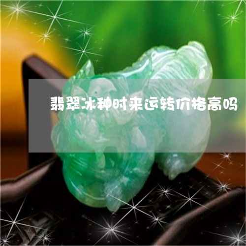翡翠冰种时来运转价格高吗/2023061982595