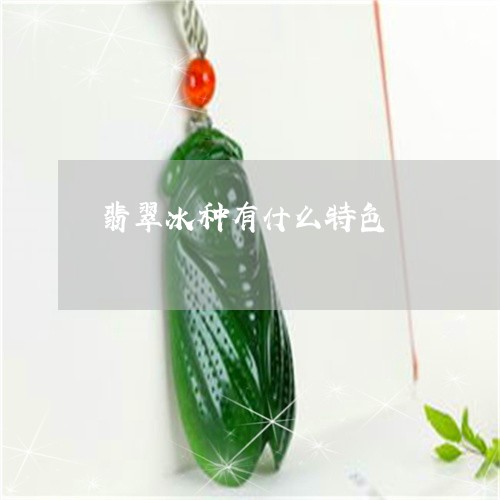 翡翠冰种有什么特色/2023041150693 翡翠冰种有什么特色/2023041150693