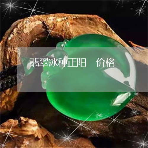 翡翠冰种正阳緑价格/2023041111573 翡翠冰种正阳緑价格/2023041111573
