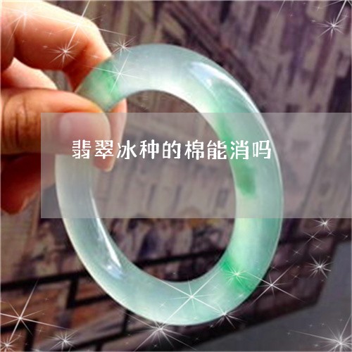 翡翠冰种的棉能消吗/2023041137150 翡翠冰种的棉能消吗/2023041137150