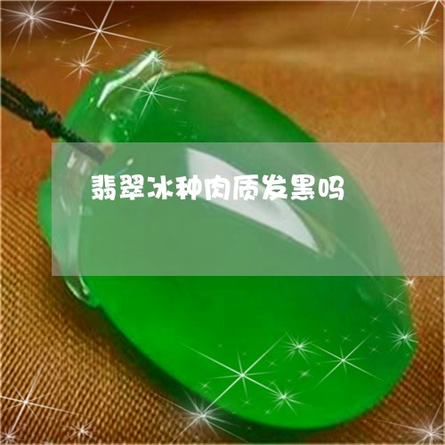 翡翠冰种肉质发黑吗/2023041178460 翡翠冰种肉质发黑吗/2023041178460