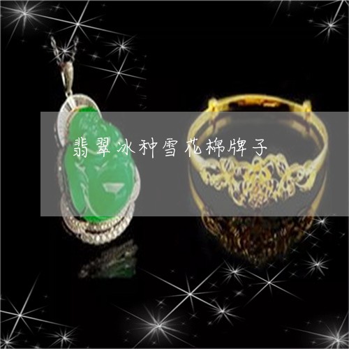 翡翠冰种雪花棉牌子/2023041124938