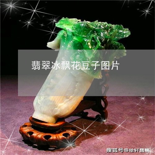 翡翠冰飘花豆子图片/2023041135049 翡翠冰飘花豆子图片/2023041135049