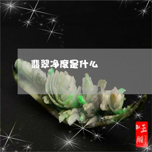 翡翠净度是什么/2023032873593
