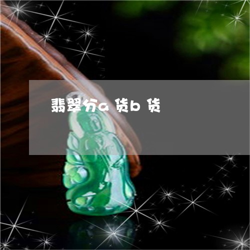翡翠分a货b货/2023032861571