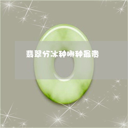 翡翠分冰种哪种最贵/2023041144879