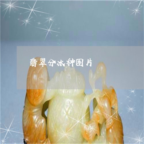 翡翠分冰种图片/2023032887158