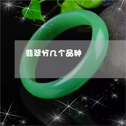 翡翠分几个品种/2023032838348