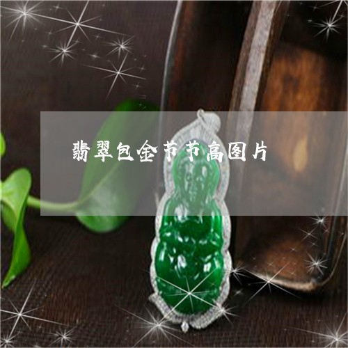 翡翠包金节节高图片/2023041150693