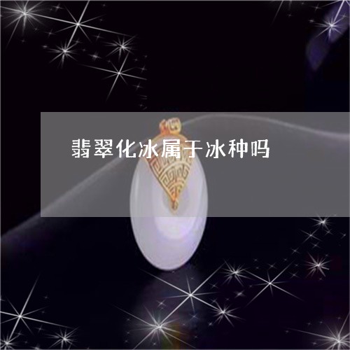 翡翠化冰属于冰种吗/2023041116250 翡翠化冰属于冰种吗/2023041116250