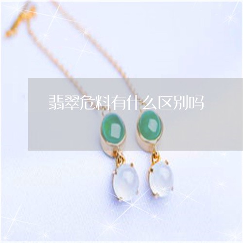 翡翠危料有什么区别吗/2023061742739