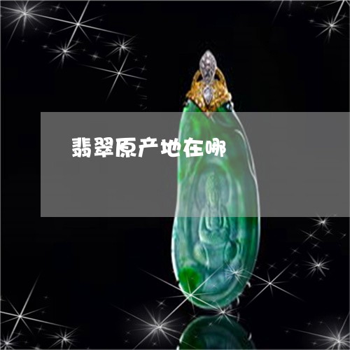 翡翠原产地在哪/2023032771047