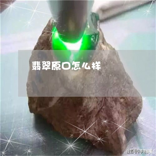 翡翠原口怎么样/2023032709640