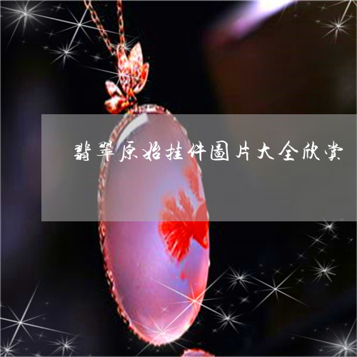 翡翠原始挂件图片大全欣赏/2023061966179