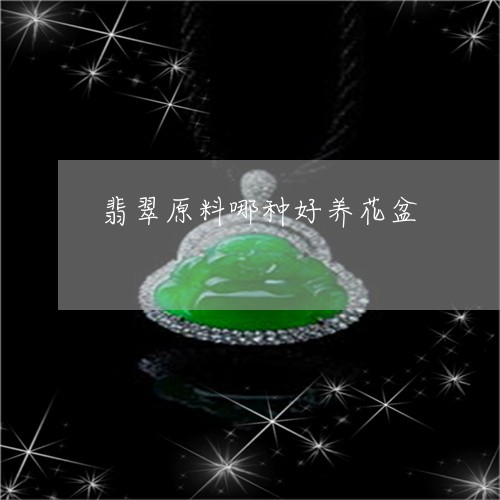 翡翠原料哪种好养花盆/2023061784848