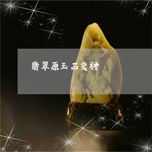翡翠原玉石变种/2023032747267 翡翠原玉石变种/2023032747267