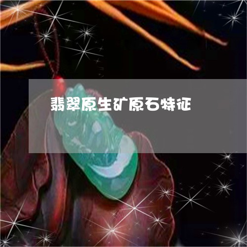 翡翠原生矿原石特征/2023041157193 翡翠原生矿原石特征/2023041157193