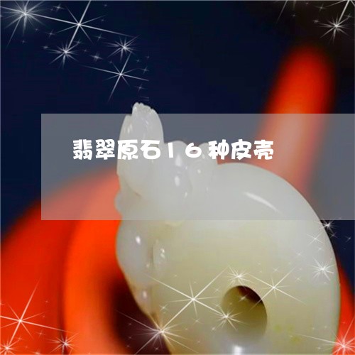 翡翠原石16种皮壳/2023041176048 翡翠原石16种皮壳/2023041176048
