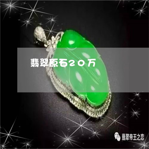 翡翠原石20万/2023032706259 翡翠原石20万/2023032706259