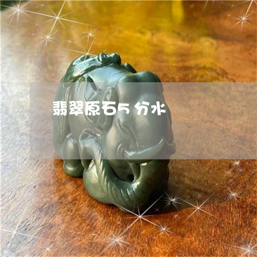翡翠原石5分水/2023032739283