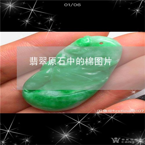 翡翠原石中的棉图片/2023041118160 翡翠原石中的棉图片/2023041118160
