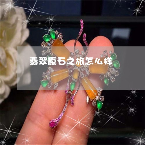 翡翠原石之旅怎么样/2023041123138 翡翠原石之旅怎么样/2023041123138