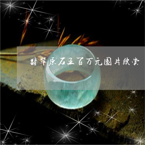 翡翠原石五百万元图片欣赏/2023061901614 翡翠原石五百万元图片欣赏/2023061901614