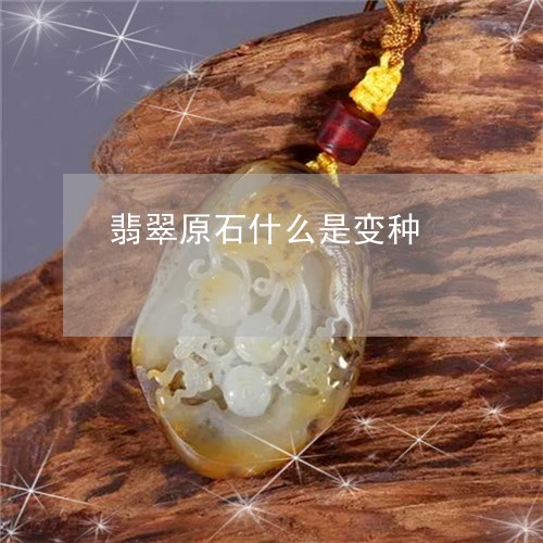 翡翠原石什么是变种/2023041155369 翡翠原石什么是变种/2023041155369