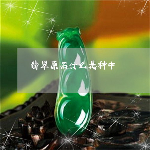 翡翠原石什么是种中/2023041179491 翡翠原石什么是种中/2023041179491